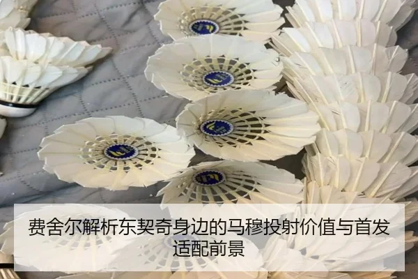 费舍尔解析东契奇身边的马穆投射价值与首发适配前景
